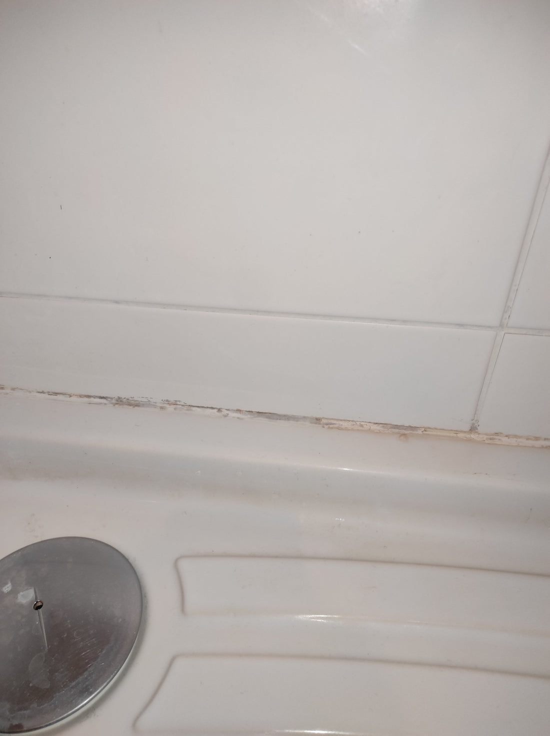 Brosse Brossly pour nettoyage facile des joints de carrelage